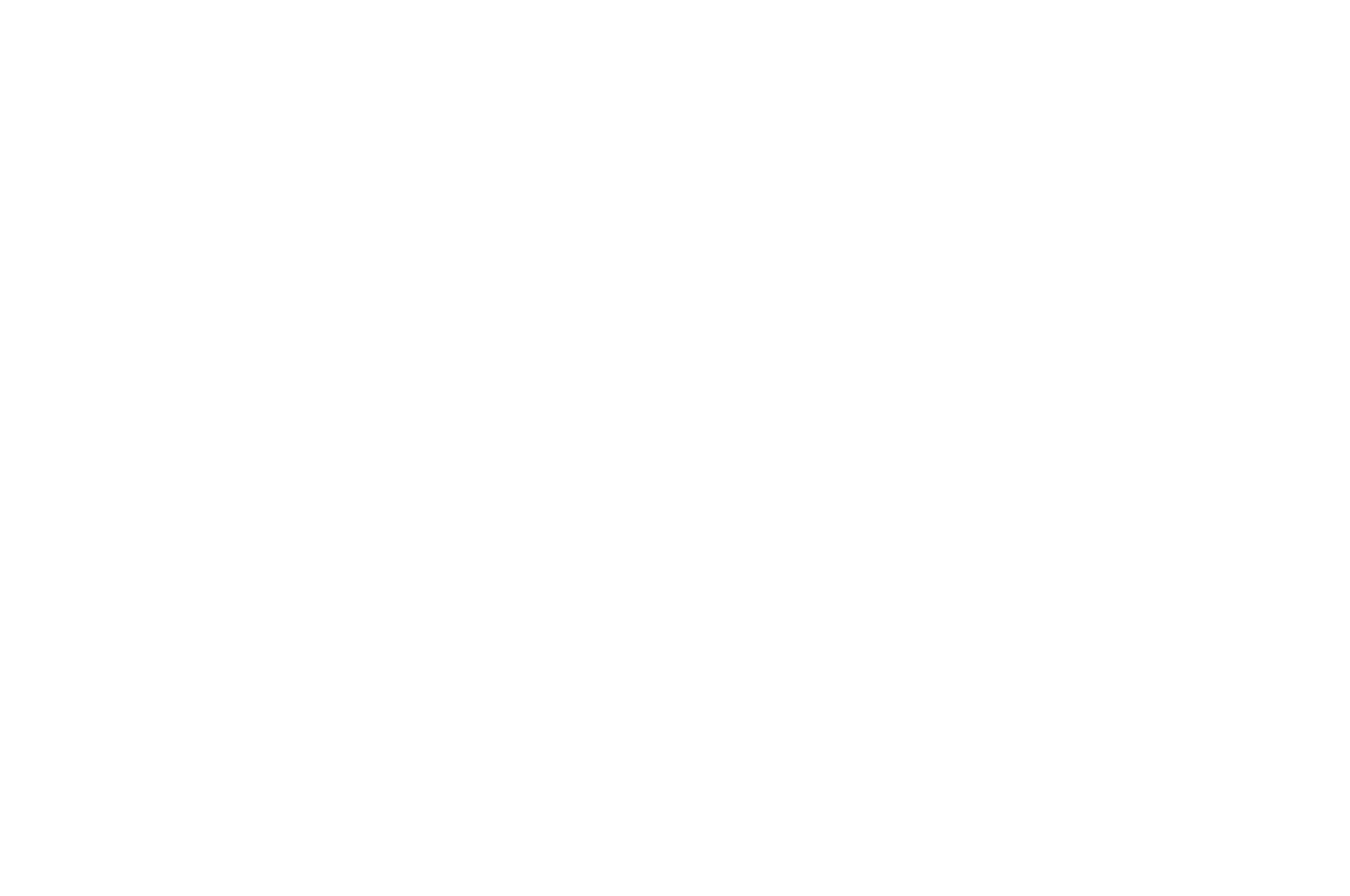 FerFILM Festival